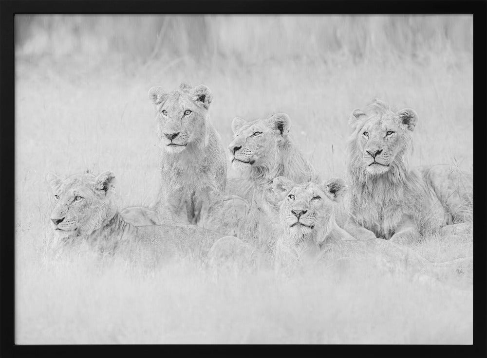 Brothers in A Little Rain Poster